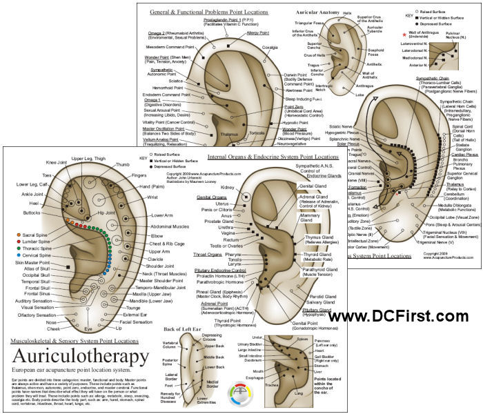 Spinal Pressure Points Chart