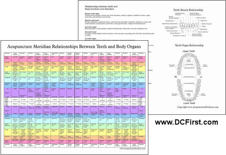 Dental Tooth Acupuncture Meridian Chart