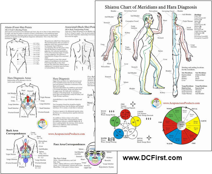 Acupuncture Motor Points Chart