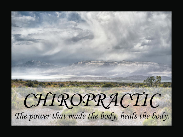 Chiropractic Quotation