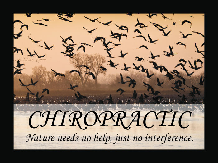 Chiropractic Quotation