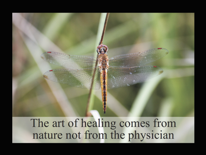 Art of Healing Quote