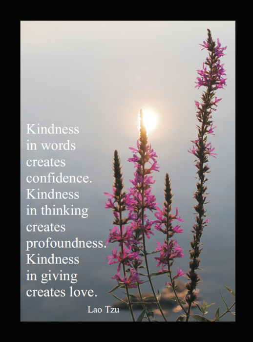 Kindness in Words Quote