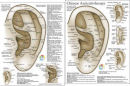 Acupuncture Charts