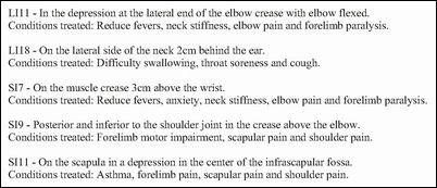 Cat Aacupuncture Chart