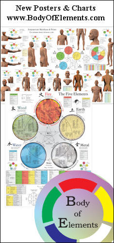 Acupuncture Meridians Poster