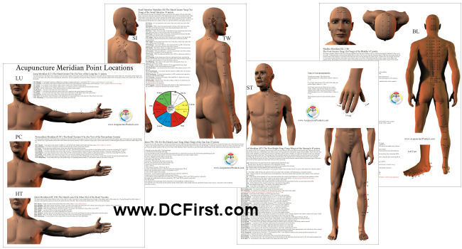 Acupuncture Point Location Study Charts