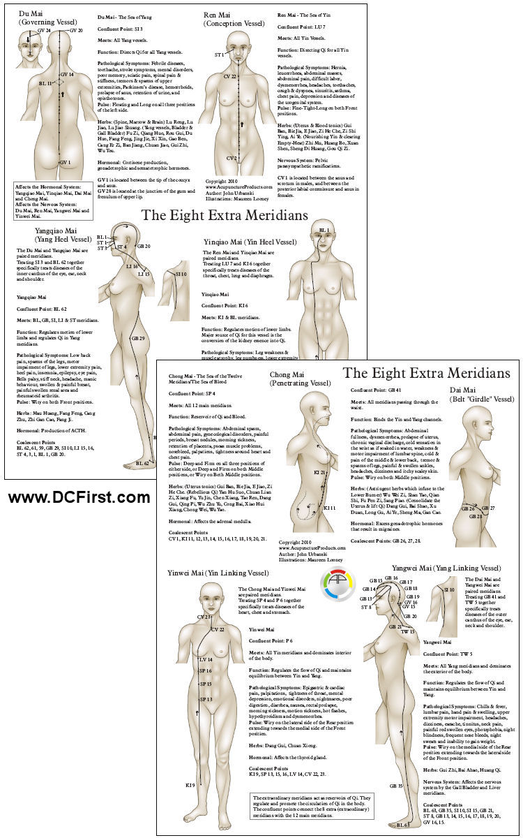 Eight Extraordinary Meridians Chart