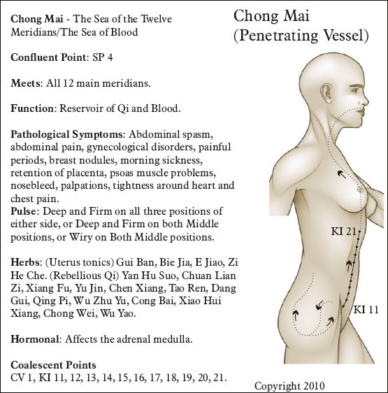 Eight Extraordinary Meridians Chart