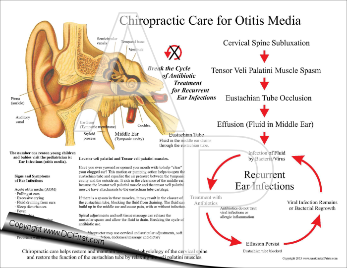 Chiropractic Treatment of Ear Infections Pad