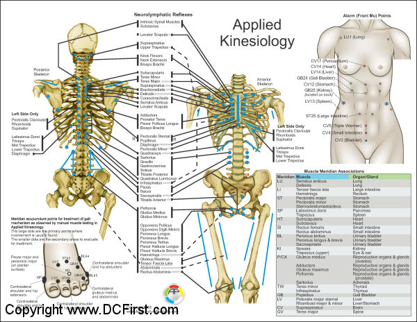 AK Neurolymphatic Reflexes