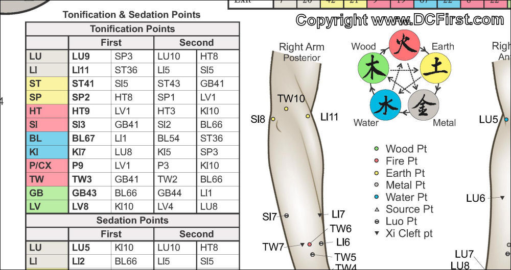 Applied Kinesiology Wall Chart