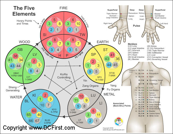 Kinesiology Charts Free