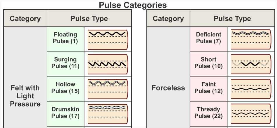 Pulse Diagnosis Poster