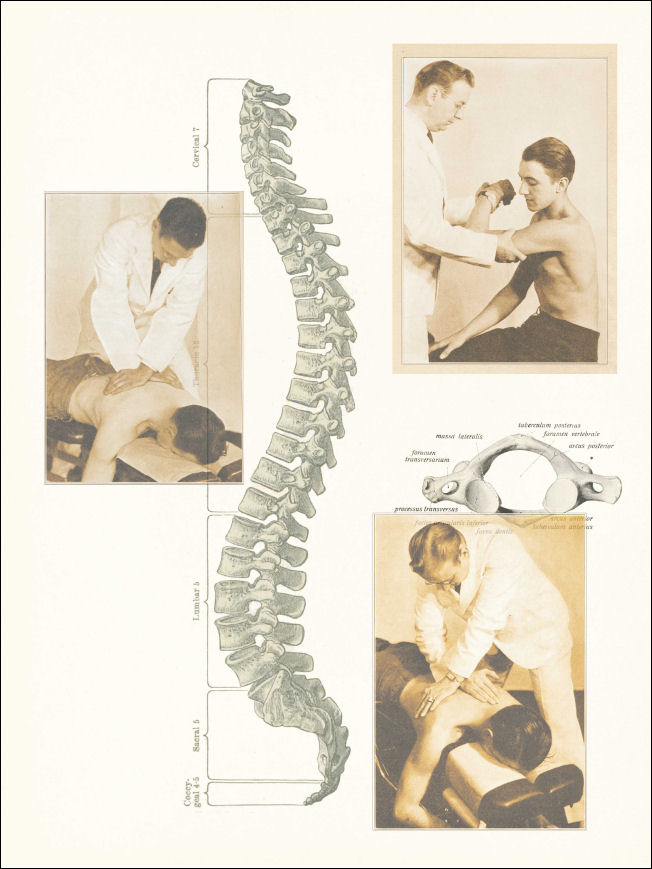 Chiropractic Posters