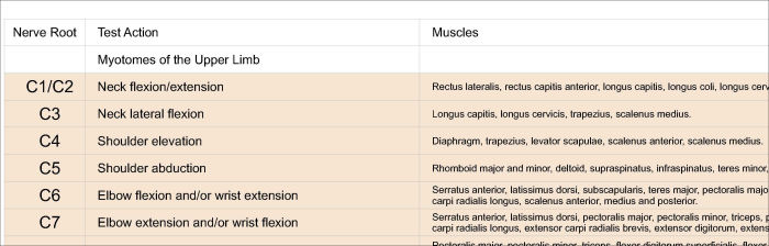 Myotomes Lower Limb Chart