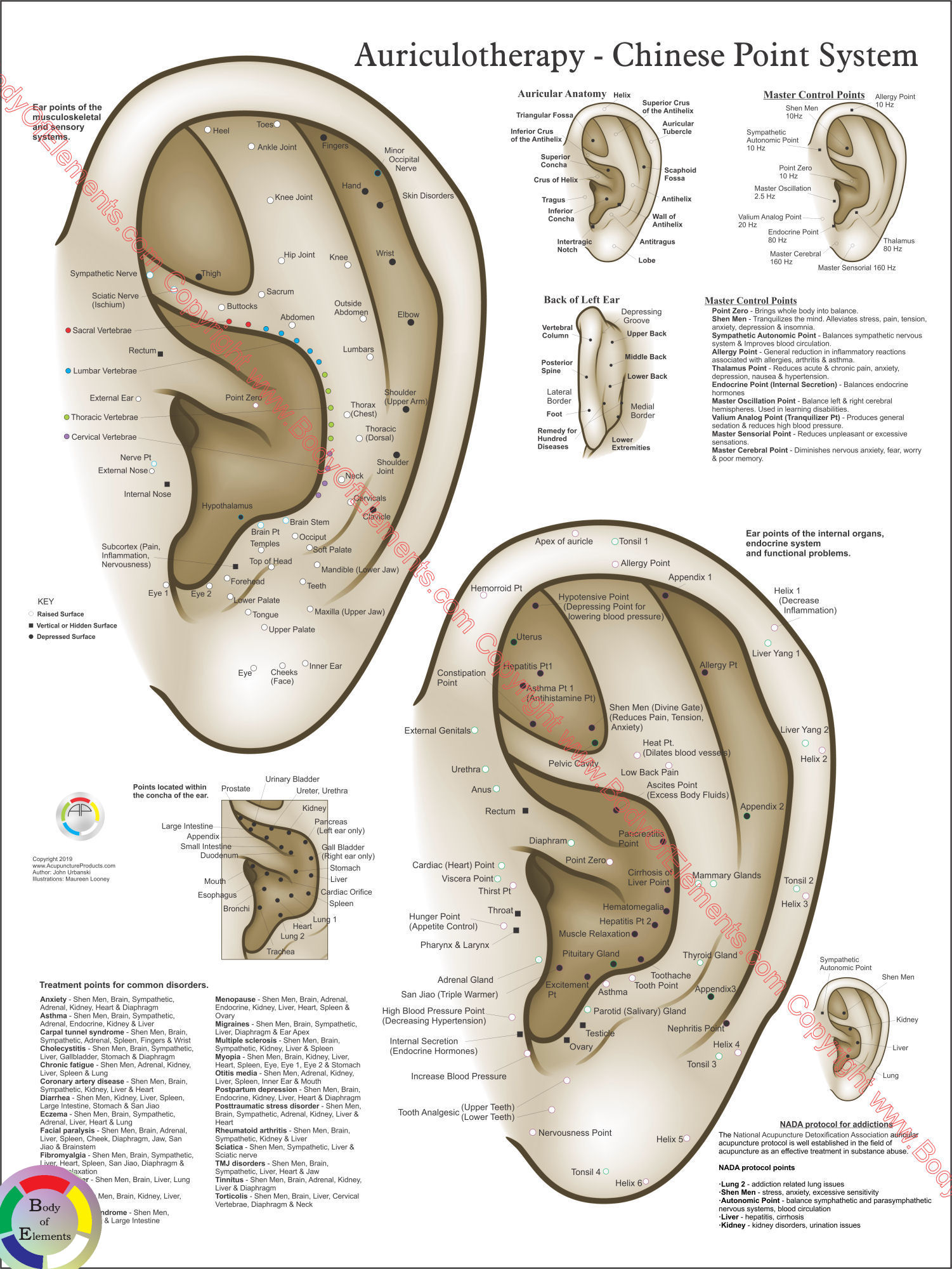 Chinese System of Ear Acupuncture Poster