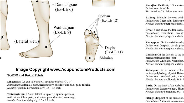 Extraordinary Acupuncture Points Poster