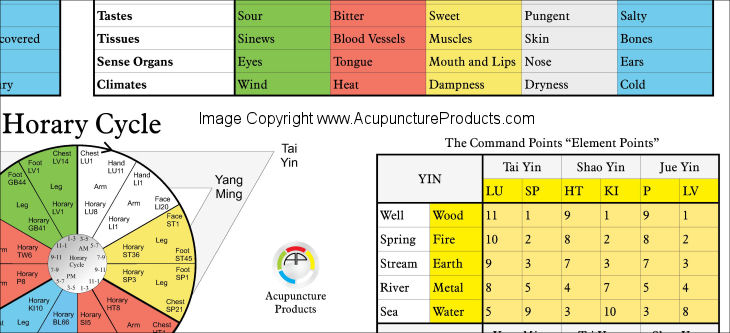 Five Elements Acupuncture Poster