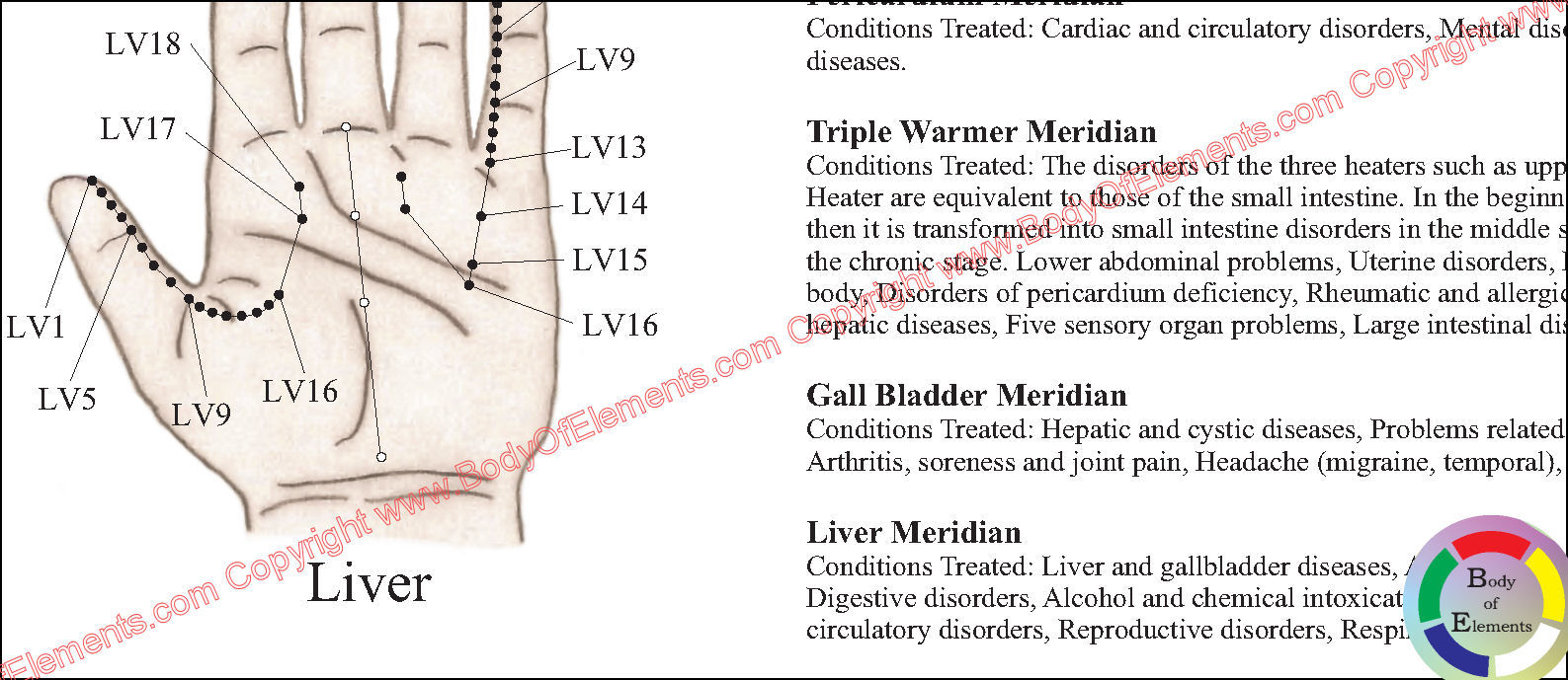 Korean Hand Therapy Meridian Chart