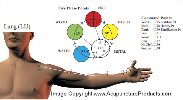 Acupuncture Meridian Points