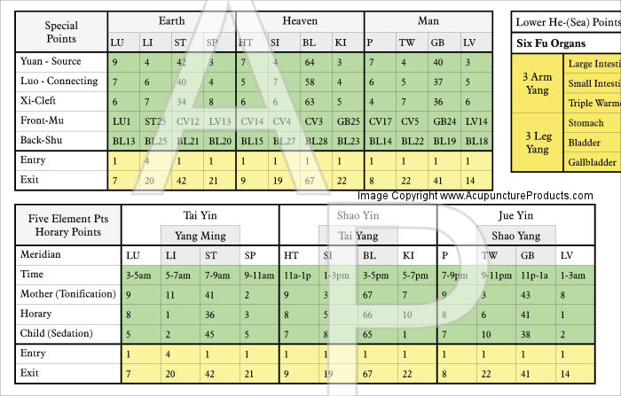 Acupuncture Meridian Points and Classifications