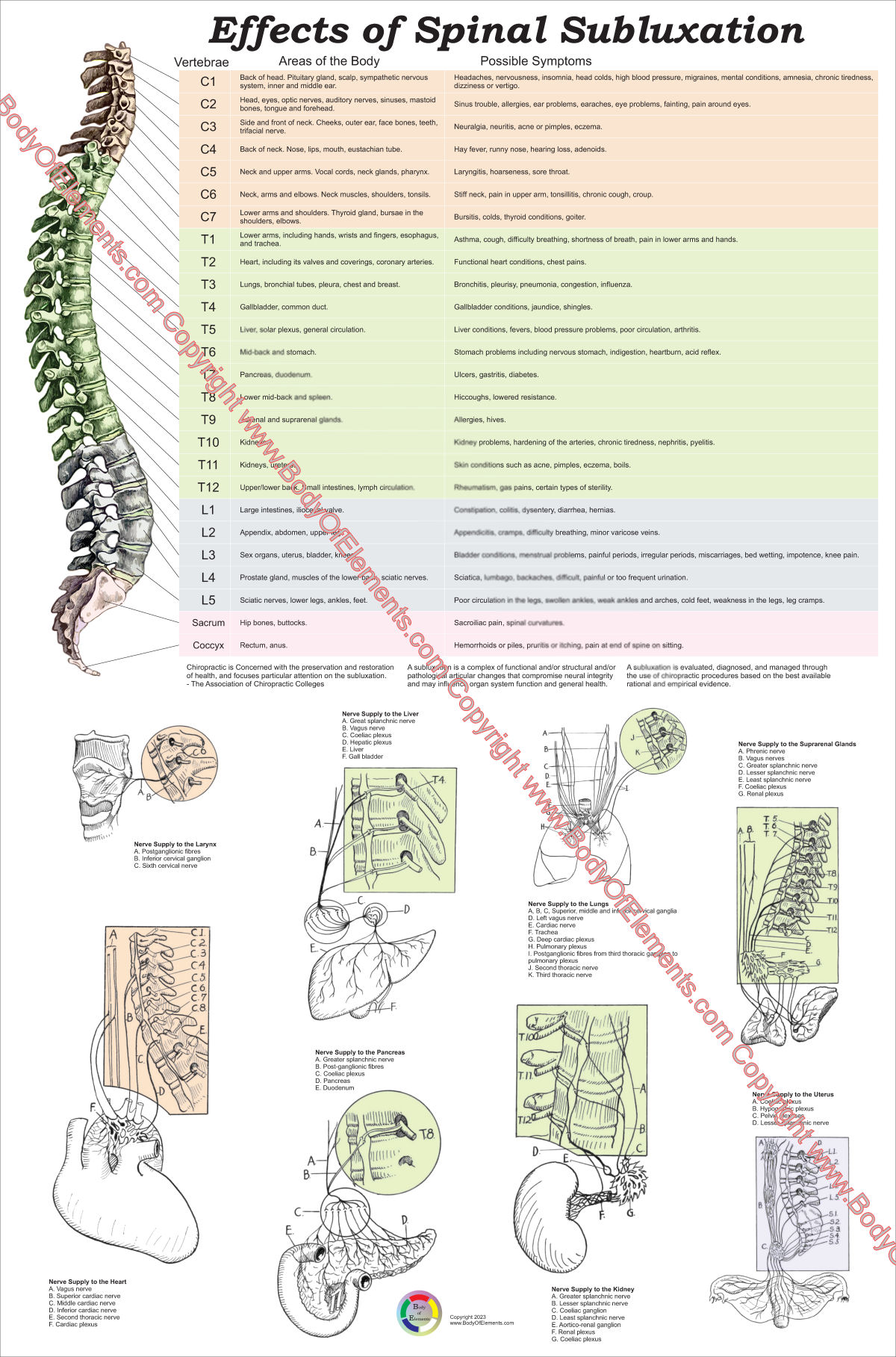 Subluxation Symptoms Chart