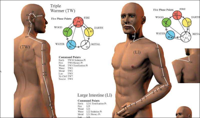 Acupuncture Meridian Points