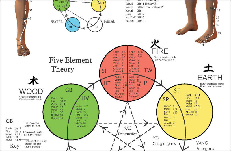 Acupuncture Meridian Points