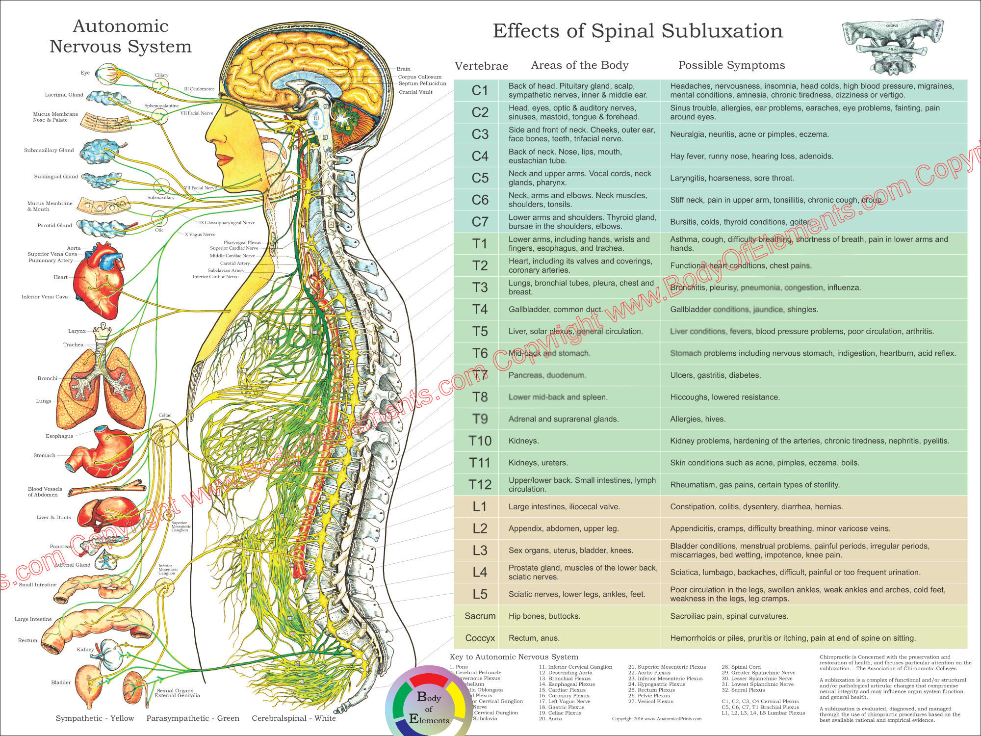 Effects Of Spinal Subluxation Chart