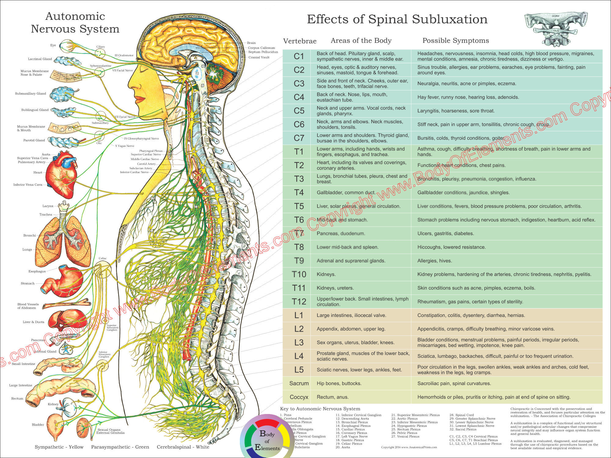 Subluxation Symptoms Chart