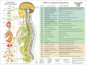 Chiropractic Subluxation Poster